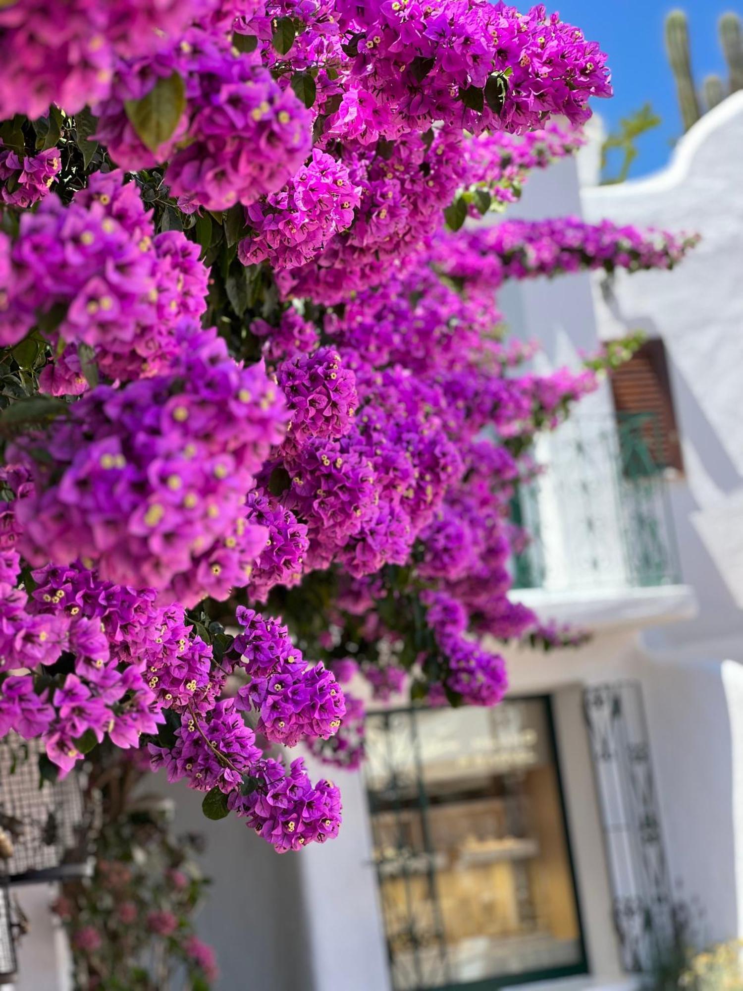 Boutique Hotel Solaz ปอร์โต ราฟาเอล ภายนอก รูปภาพ